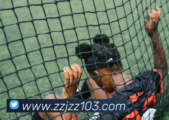 奖项证书
